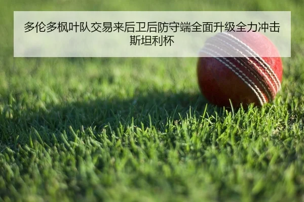 多伦多枫叶队交易来后卫后防守端全面升级全力冲击斯坦利杯